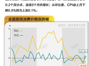 基本面 | 全年CPI同比上涨0.2%，12月同比连续3个月负增长|界面新闻